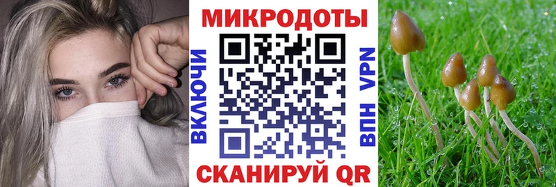 Галлюциногенные грибы Psilocybe как найти закладки Рассказово